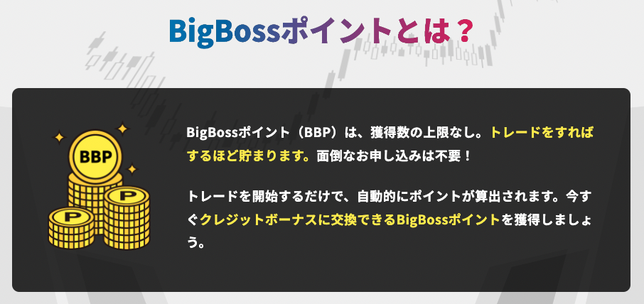 bigboss 評判